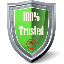 iso icon
